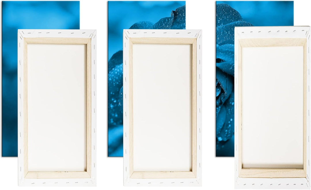 beeindruckende Blaue Rose Effekt: Zeichnung Format: 3-teilig 120x80, Motiv fertig gerahmt auf Echtho
