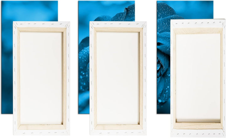 beeindruckende Blaue Rose Effekt: Zeichnung Format: 3-teilig 120x80, Motiv fertig gerahmt auf Echtho