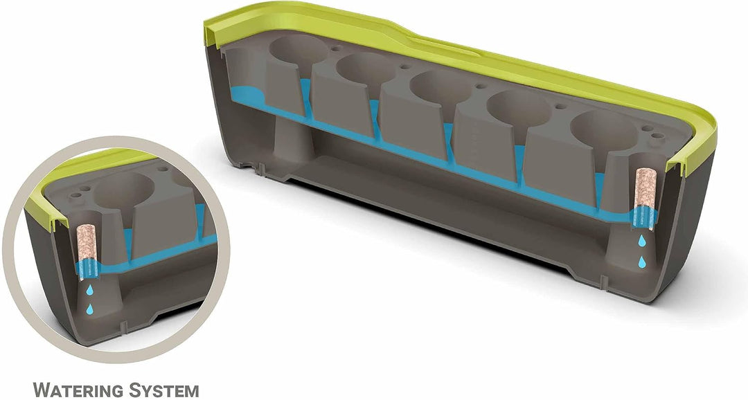 Romberg BoQube L Plus (Pflanzsystem, Farbe Anthrazit-Sommergrün, PAK-frei, lebensmittelecht, mit Bel