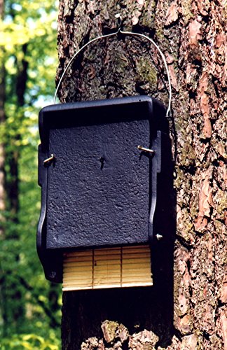 Schwegler Naturschutzprodukt Fledermaus Nistkasten Nisthöhle Fledermaushöhle 1FF mit eingearbeiteter