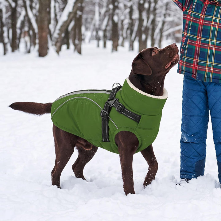 Hundemantel Hundejacke Warm Wintermantel mit Reissverschluss Winddichte &amp; Winddichte mit Reflektorst