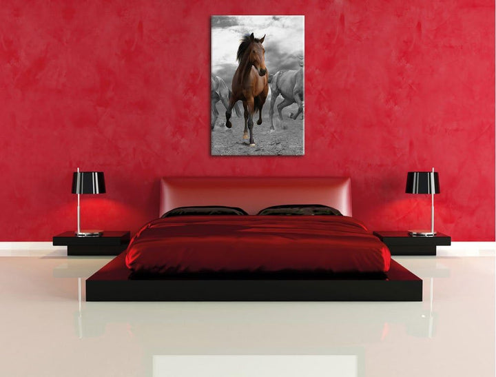 Pixxprint Mustangherde im Sand Schwarz/weiss, Format: 70x100 auf hochkantiges Leinwand, XXL riesige