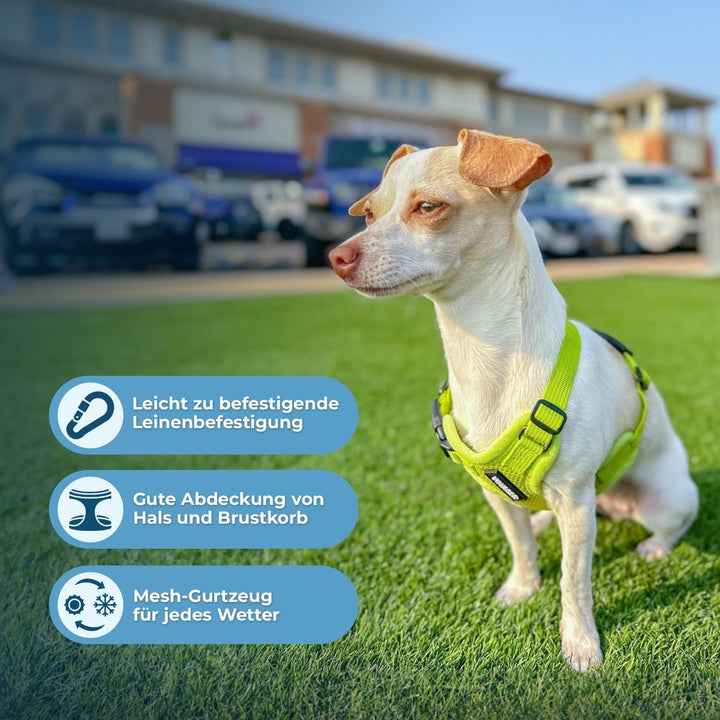 Voyager Step-In Air Hundegeschirr by Best Pet Supplies - All Weather Mesh Step in Vest Harness für k