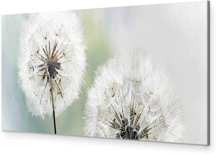 murando - Bilder Pusteblume 150x50 cm Vlies Leinwandbild 1 tlg Kunstdruck modern Wandbilder XXL Wand