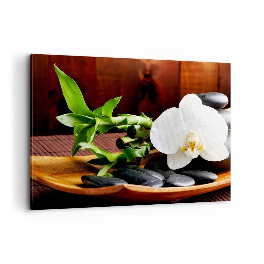Bilder auf Leinwand 100x70cm Leinwandbild Bambus Schönheit Dekoration Blume Gross Wanddeko Bild Schl