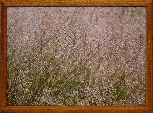 Andrews Knietablett mit Kissen Waldstrukturen Gräser