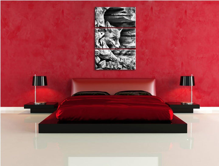 Pixxprint Fuchs im Baumstamm als Leinwandbild/Grösse: 3 Teilig (120x80) / Wandbild/Kunstdruck/fertig