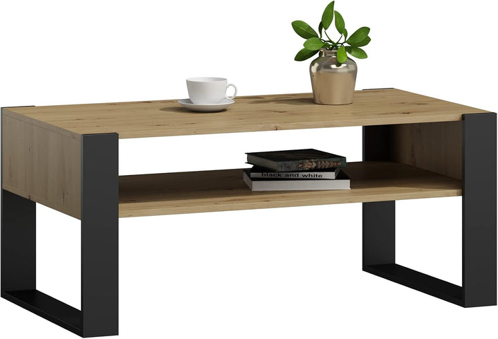 MATKAM Couchtisch KAJA H50 x B100 x T53,6 cm Loft Retro, offene Ablage unter der Tischplatte, Kufenb