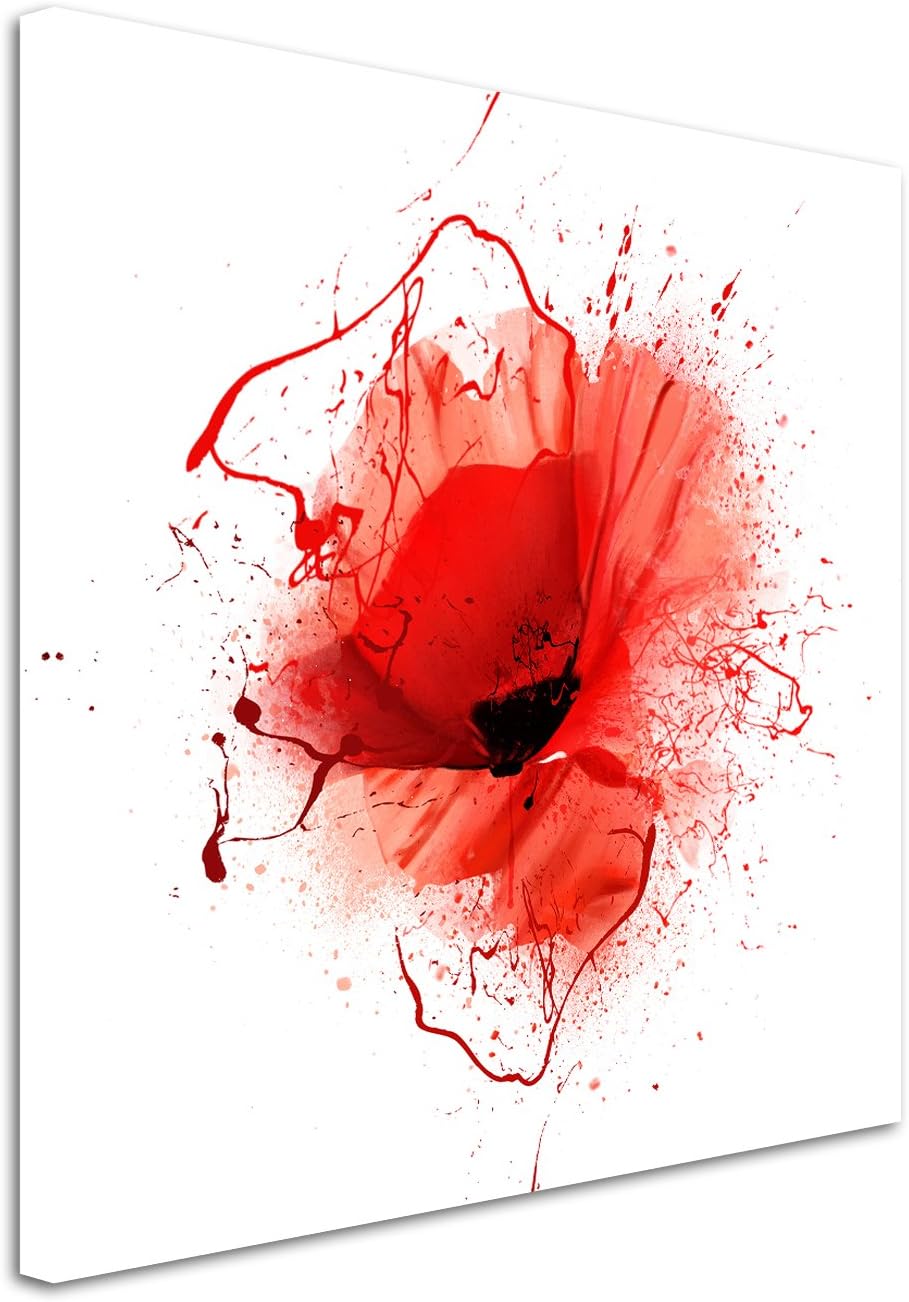 Wandbild 90x90cm Mohnblumen im Splash Art Stil auf Leinwand für Wohnzimmer, Büro, Schlafzimmer, Feri
