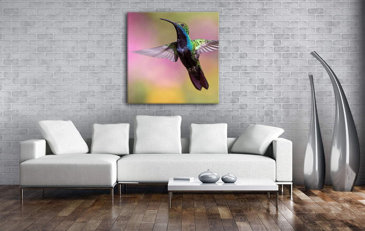 deyoli flinker Kolibri Format: 60x60 als Leinwand, Motiv fertig gerahmt auf Echtholzrahmen, Hochwert