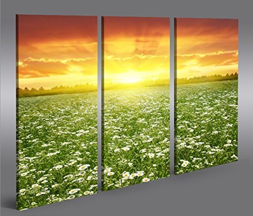 islandburner Bild Bilder auf Leinwand Blumenwiese 3p XXL Poster Leinwandbild Wandbild Art up Your Li