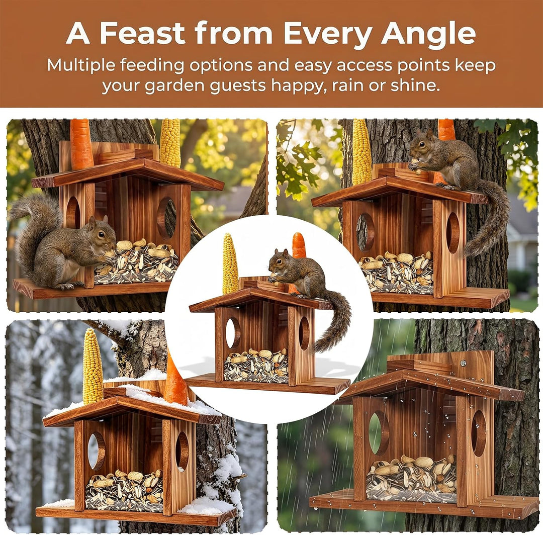 Eichhörnchen Futterhaus, Eichhörnchen Haus Wetterfest Eichhörnchenhaus aus Holz mit Runden Transpare