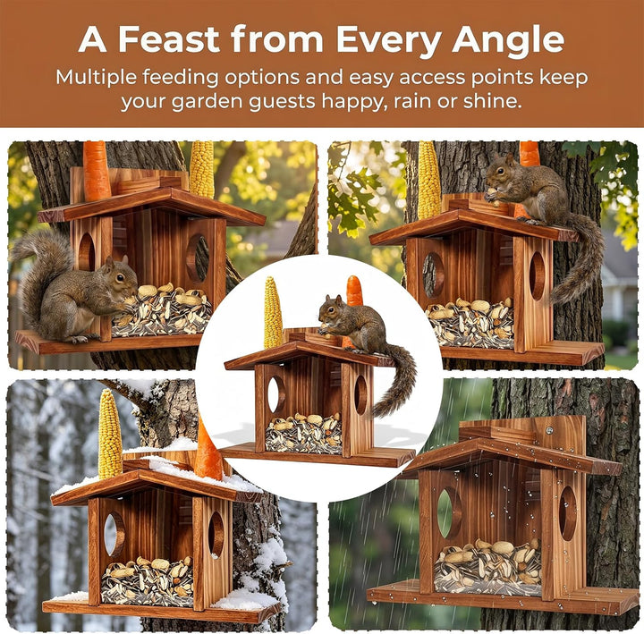 Eichhörnchen Futterhaus, Eichhörnchen Haus Wetterfest Eichhörnchenhaus aus Holz mit Runden Transpare