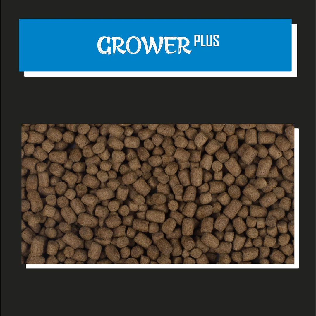 Tanoshi Koifutter - Grower Plus 5 kg 3mm | Schwimmendes Allein-Koifutter für maximales Koi-Wachstum