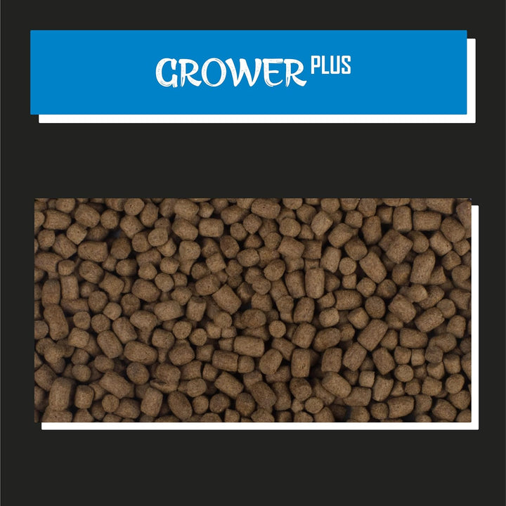 Tanoshi Koifutter - Grower Plus 5 kg 3mm | Schwimmendes Allein-Koifutter für maximales Koi-Wachstum