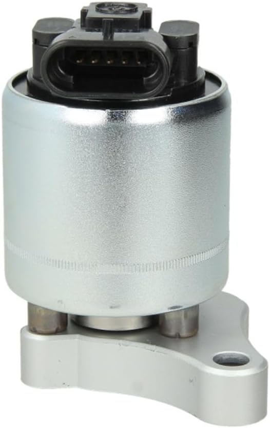 Delphi EG10003-12B1 Agr-Ventil