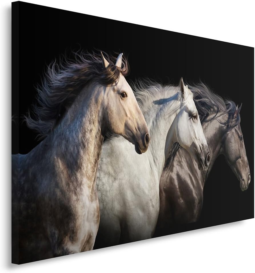 Feeby Frames, Leinwandbild, Bilder, Wand Bild, Wandbilder, Kunstdruck 70x100cm, PFERDE, TIERE, NATUR