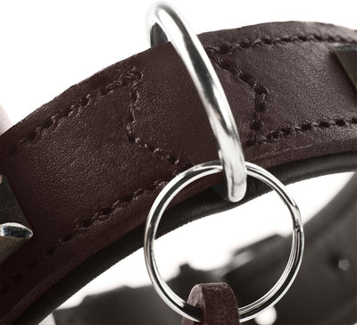 HUNTER LARVIK Hundehalsband, Leder, schlicht, elegant, komfortabel, 60 (M-L), dunkelbraun/schwarz du