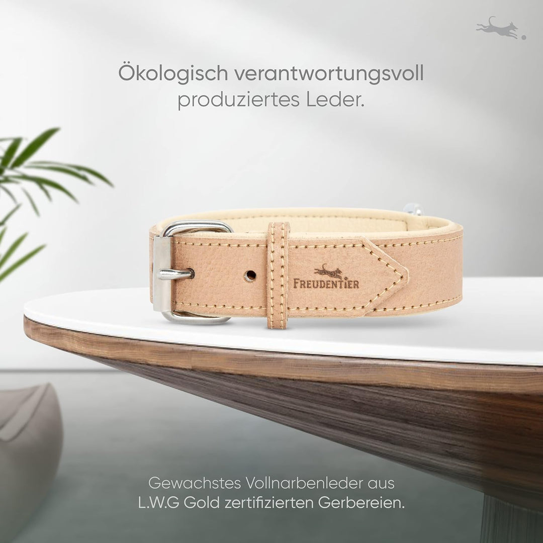 FREUDENTIER® Hundehalsband aus Leder, Made in Holland, gefüttert & super komfortabel, hochwertiges b