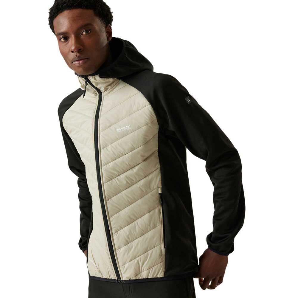Regatta Herren Softshelljacke mit Kapuze, gepolstert, 1 Stück XL Abbeystone / Schwarz, XL Abbeystone