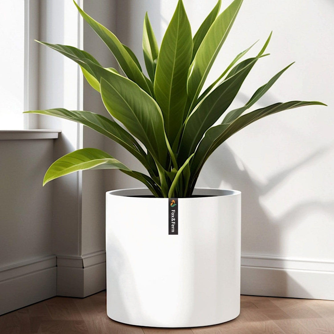 Fox&amp;Fern Blumentopf L - 27cm grosser Übertopf inklusive Wasserabfluss für Pflanzen im Aussen- &amp; Inne
