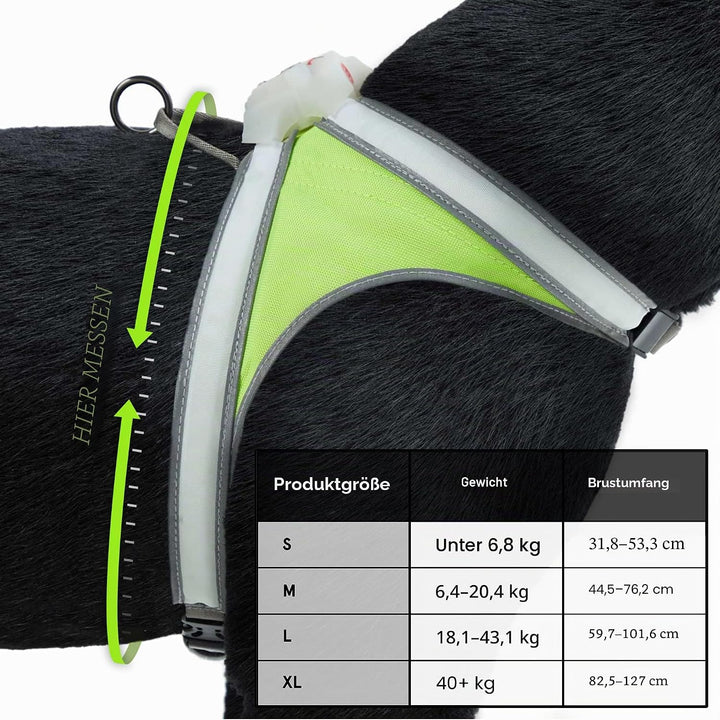 noxgear LightHound – Revolutionäres beleuchtetes und reflektierendes Geschirr für Hunde, inklusive m