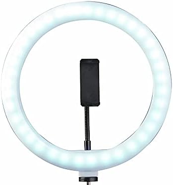 Somikon Handy Stativ mit Licht: LED-Ringlicht, Handy-Halter, Stativ, Fernauslöser, Ø 10" / 25 cm (Li