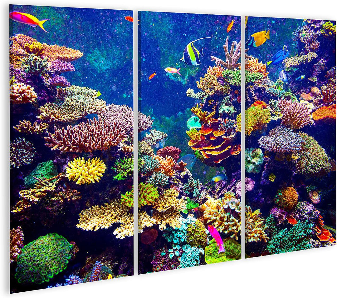 islandburner Bild auf Leinwand Singapur Aquarium Korallenriff Tropische Fische Sonnenlicht Wandbild