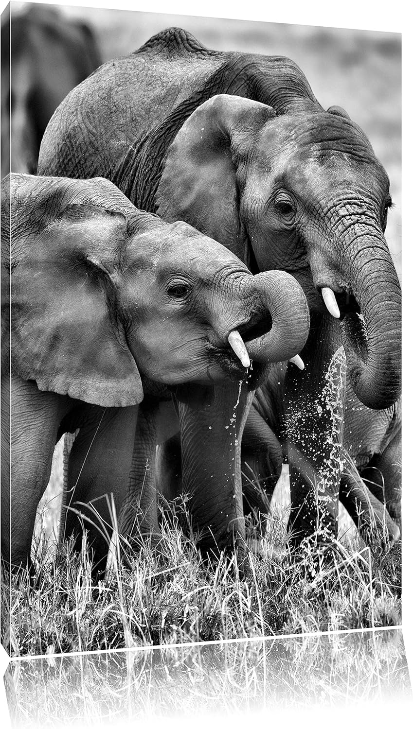 Pixxprint Elefantenhorde am Wasserloch als Leinwandbild | Grösse: 100x70 cm | Wandbild | Kunstdruck