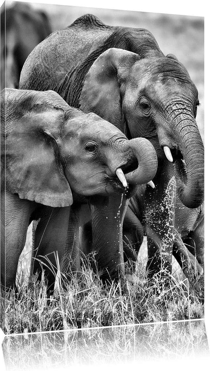 Pixxprint Elefantenhorde am Wasserloch als Leinwandbild | Grösse: 100x70 cm | Wandbild | Kunstdruck