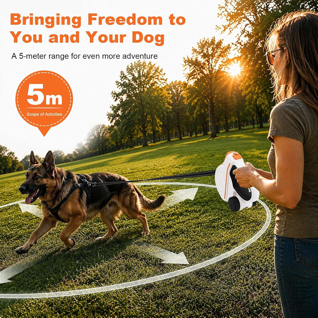Ausziehbare Hundeleine, Flexi Leine 5m, Rollleine für Hunde, Hundeleine Flexi, Dog Leash, Rollleine