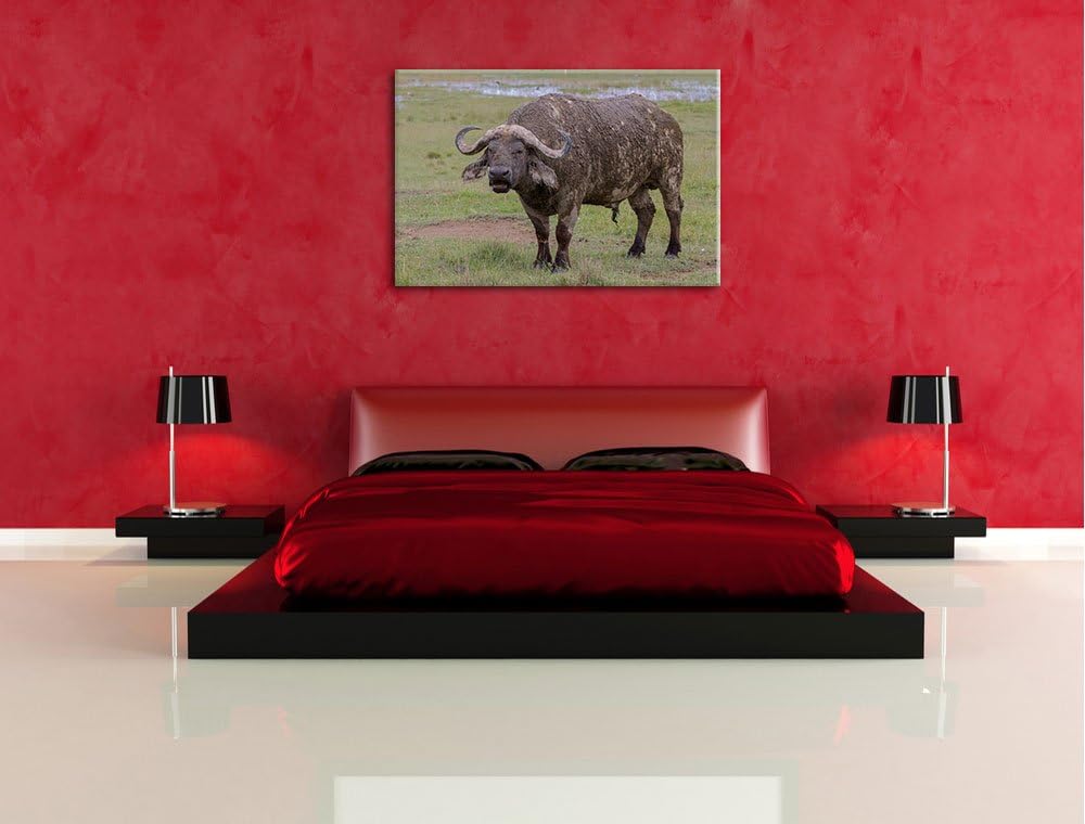 Schlamm verschmierter Kaffernbüffel Leinwand, XXL riesige Bilder fertig gerahmt mit Keilrahmen, Kuns