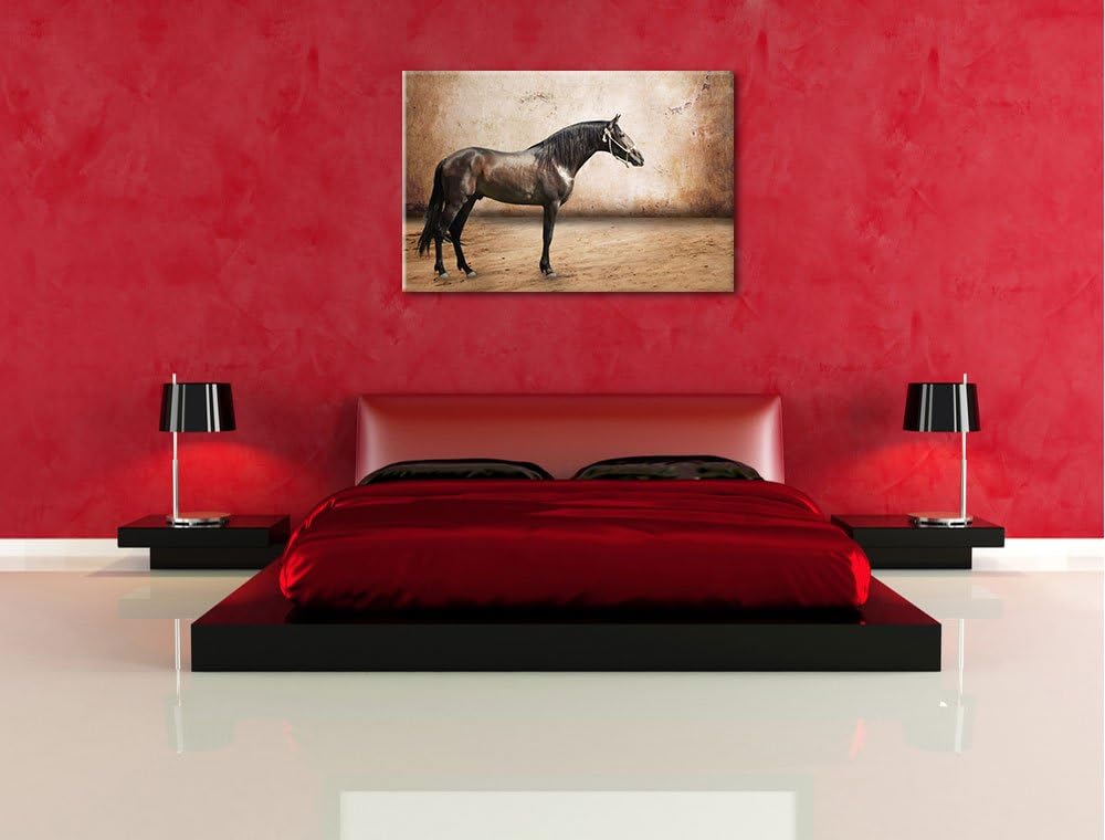 Pixxprint Brauner Hengst Format: 100x70 auf Leinwand, XXL riesige Bilder fertig gerahmt mit Keilrahm