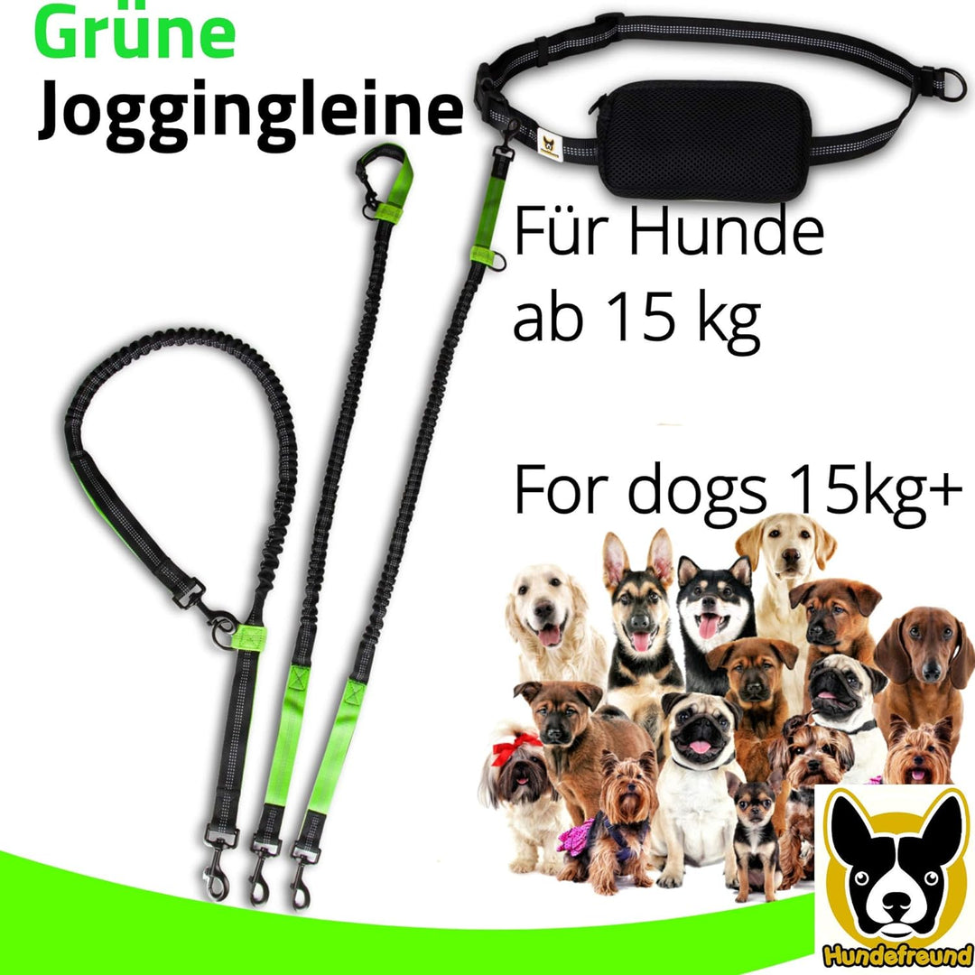 Jogging-Leine - Elastische und reflektierende 120 cm Hundeleine (bis 200 cm dehnbar) mit verstellbar