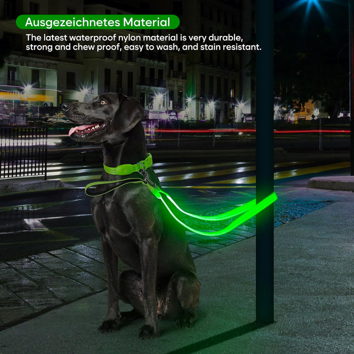 ChalkLit LED Hundeleine, Beleuchtete Hundeleine über USB Wiederaufladbar, 1,2 m, Weich Wasserdicht R