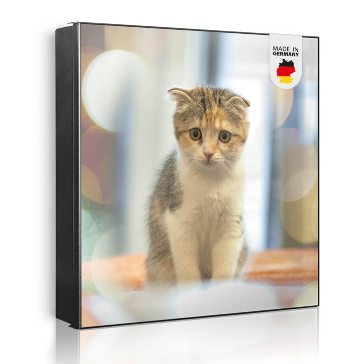 banjado® Grosser Schlüsselkasten Glas/Schlüsselbox 30cm x 30cm mit 50 Haken - Motiv Kleine Katze/Sch