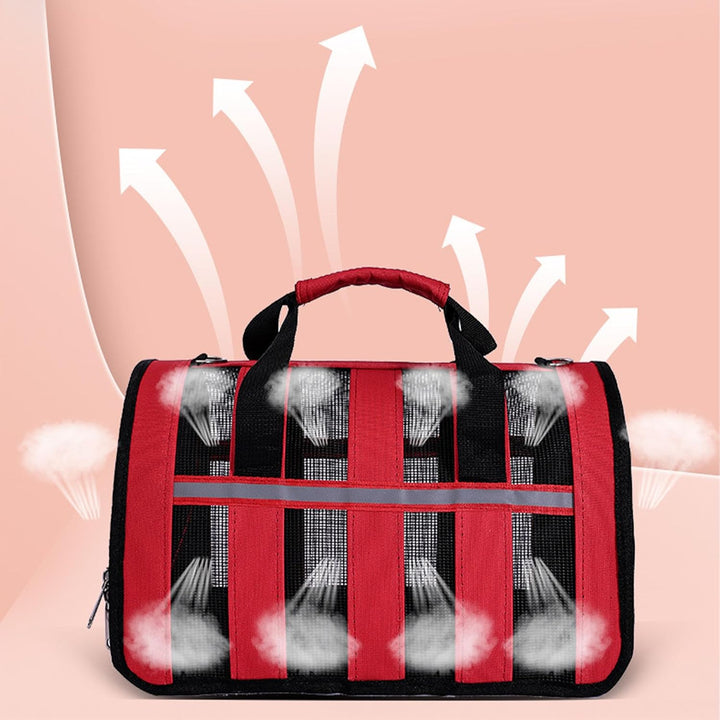 Transporttasche für Katze Hund, mit reflektierenden Streifen, mit atmungsaktivem Mesh, Faltbare katz