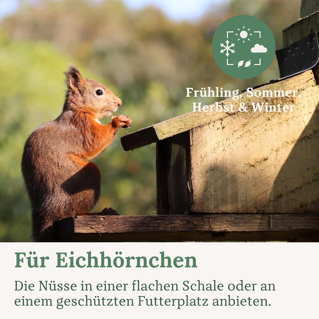 Orni Artgerechter Nüsse Mix für Eichhörnchenfutter 1kg | Futter für Eichhörnchen mit Haselnüsse, Wal