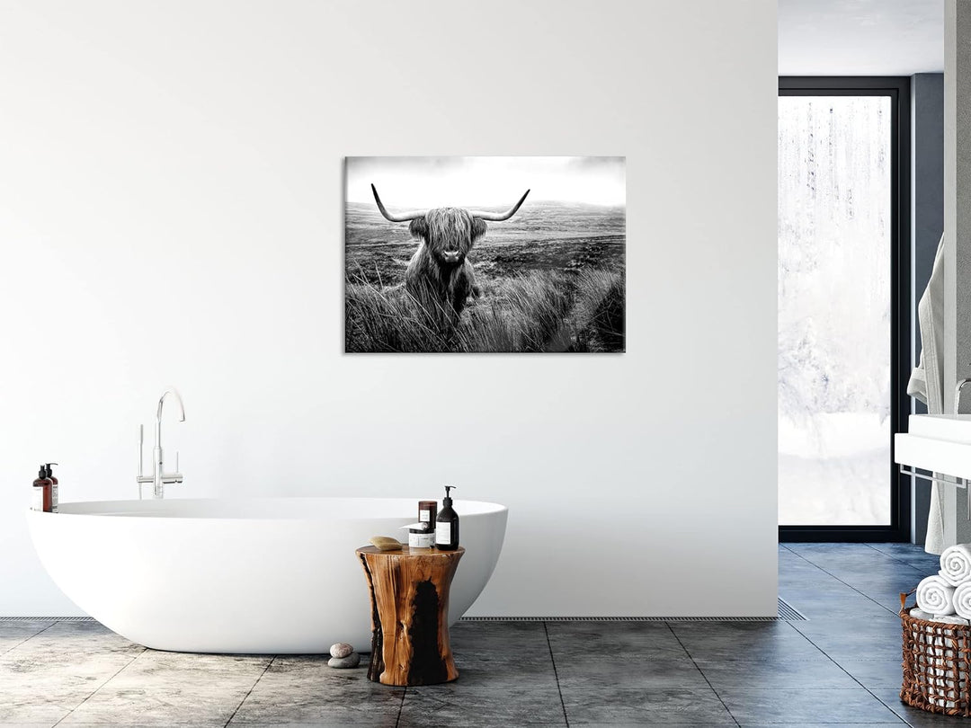 Pixxprint Glasbild | Wandbild aus Echtglas | Highland Rind mit grossen Hörnern Steppe, Monochrome |
