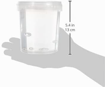 Glorex 6 8604 301 - Kerzengel farblos im wiederverschliessbaren 700 g Gefäss, inklusive Docht, kann
