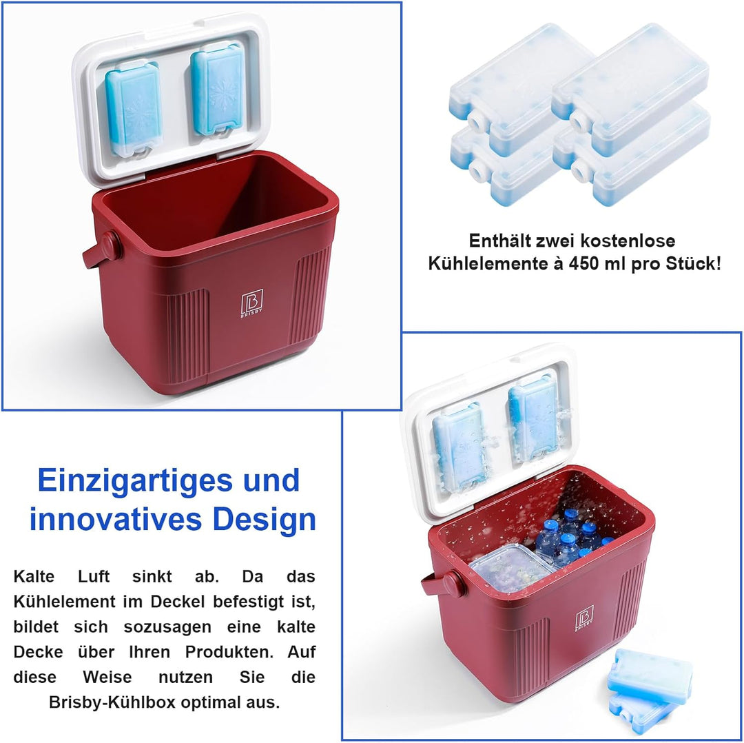 Brisby Kühlbox - 18 Stunden warm - 40 Stunden kühl - Inklusive 4 grosse Kühlelemente 450 ML - 38,3cm