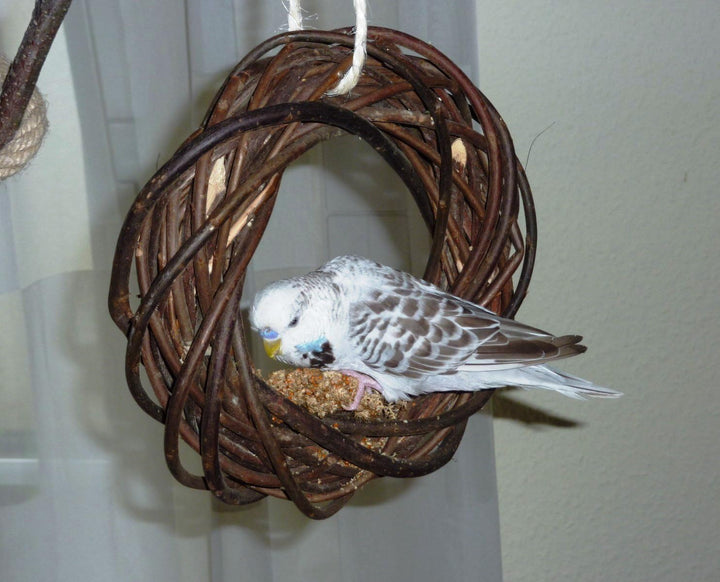 Vogelgaleria® Leckerer Weidenring zum Knabbern für Wellensittich, Nymphensittich & Co.; Weidengeflec