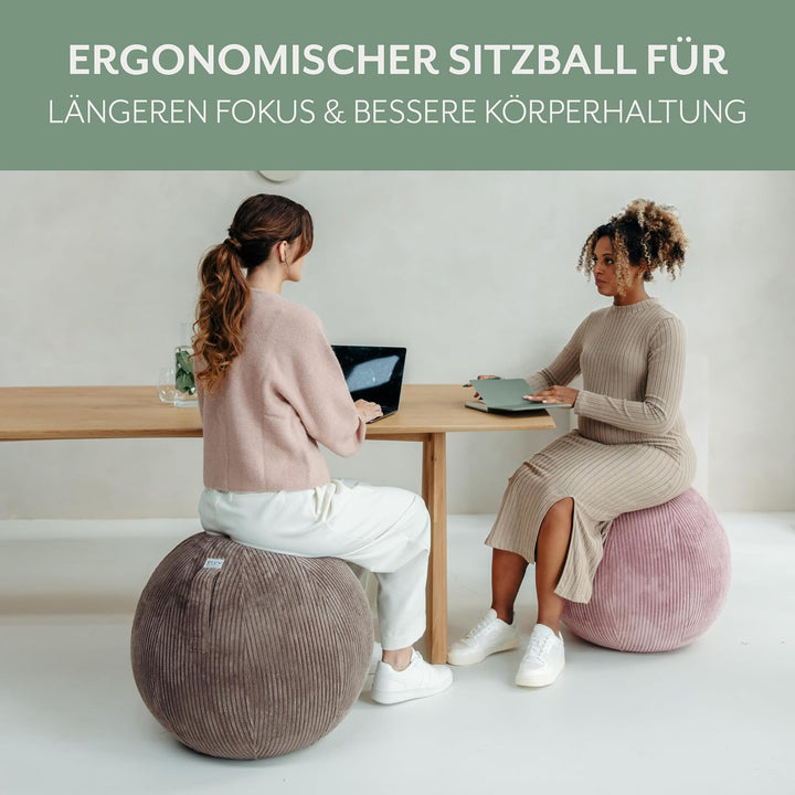 VLUV® BOL VLIP Sitzball Büro Ergonomisch [Atmungsaktiv mit Tragegriff und Wegrollschutz] Waschbarer