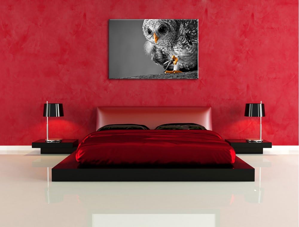 Eule mit Grille in ihren Krallen schwarz/weiss Format: 100x70 auf Leinwand, XXL riesige Bilder ferti