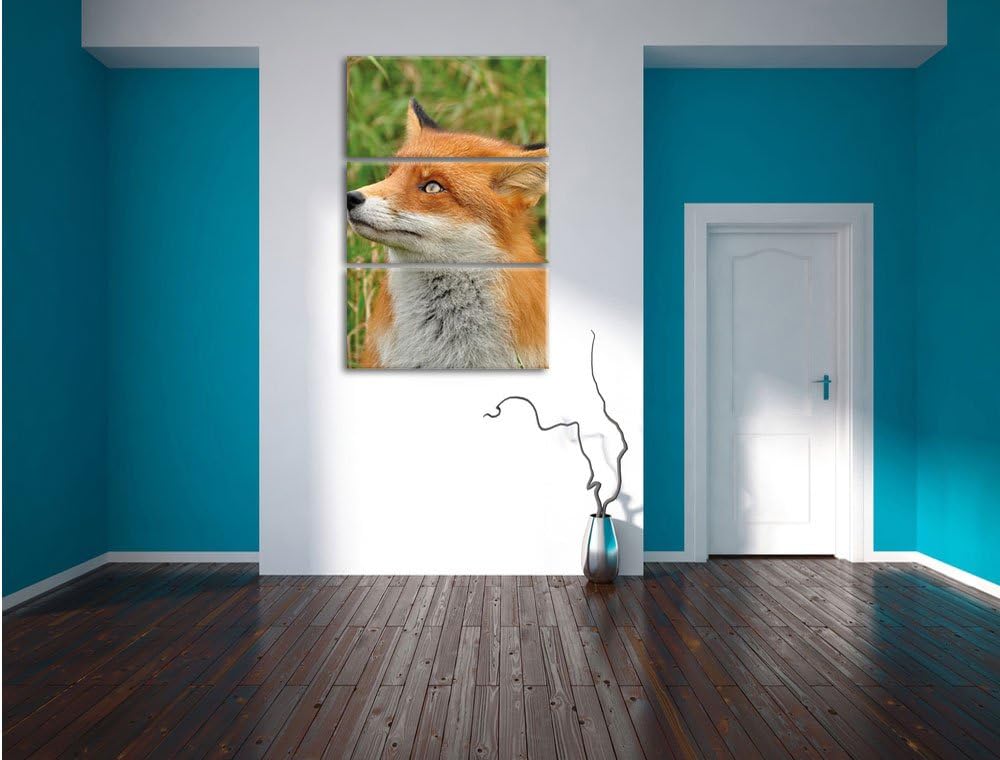 Pixxprint Fuchs auf Wiese als Leinwandbild/Grösse: 3 Teilig (120x80) cm/Wandbild/Kunstdruck/fertig b