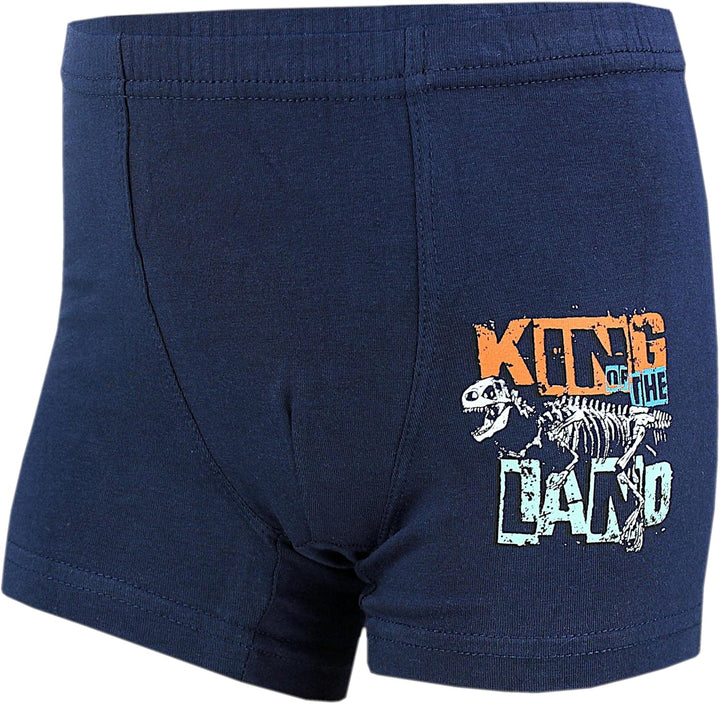 TupTam Boxershorts – Kinder Boxershorts Unterwäsche, Unterhosen im 10er oder 5er Pack 92-98 10er Pac