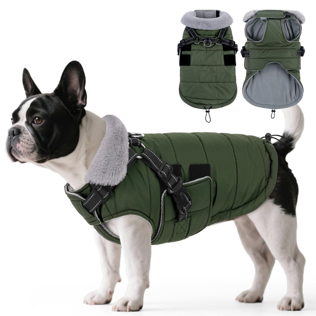 ASENKU Hundemantel für Kleine Hunde mit Geschirr, Warme Fleece Hundemantel Winter Wasserdicht Mit Br