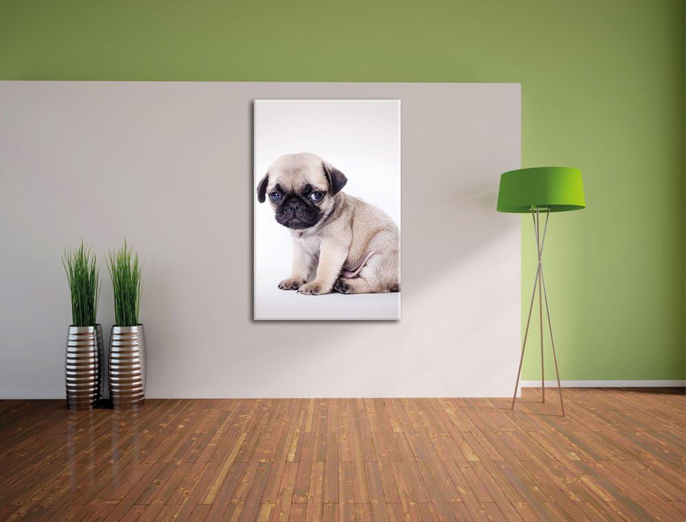 Kleiner Hundewelpe Mops, Format: 100x70 auf Leinwand, XXL riesige Bilder fertig gerahmt mit Keilrahm