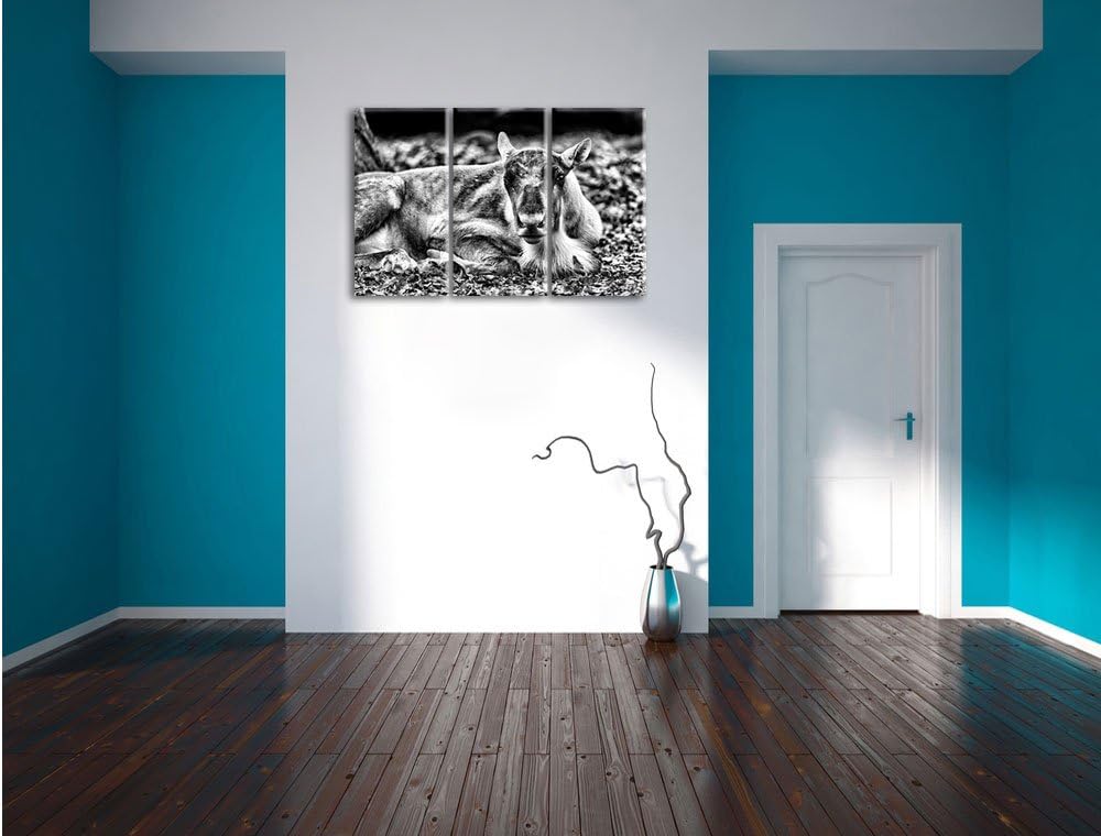 Pixxprint Monocrome, junger Elch 3-Teiler Leinwandbild 120x80 Bild auf Leinwand