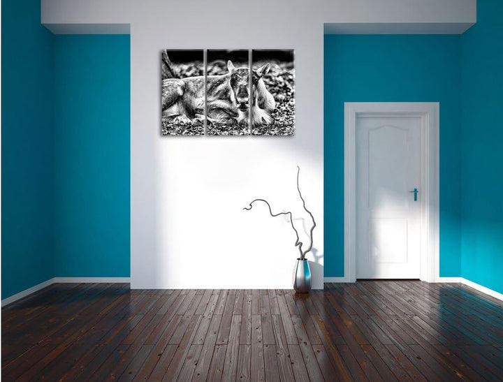 Pixxprint Monocrome, junger Elch 3-Teiler Leinwandbild 120x80 Bild auf Leinwand